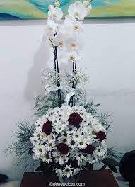 Akbatı Çiçekçi - orkide-ppatya-gul